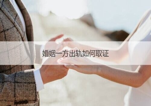 应由人民法院负责调查收集的证据包括哪些？